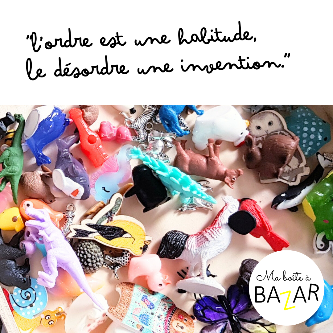 Ma boîte à bazar pourquoi ce nom et ce code couleur ?